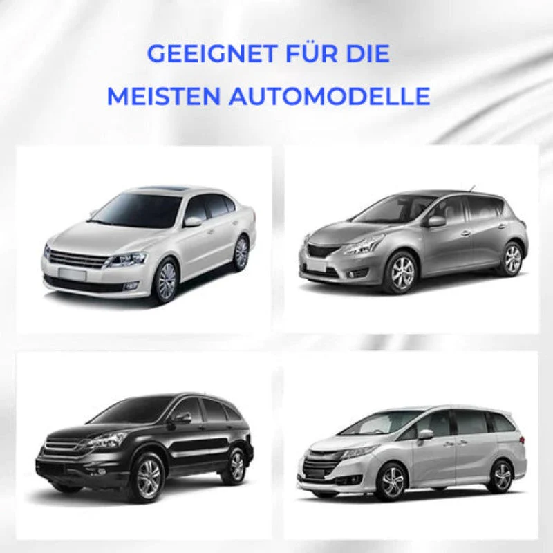 Miniatuur 7