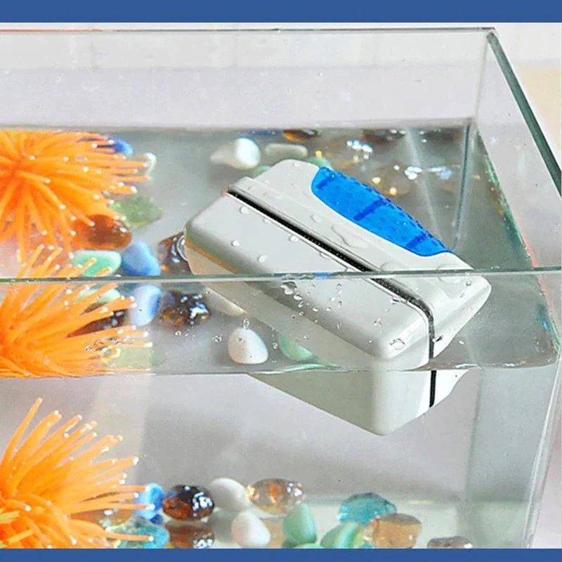 Miniatuur 6