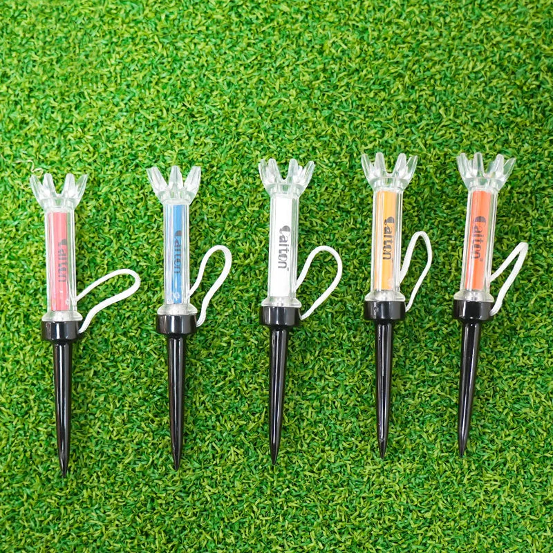 Miniatuur 7
