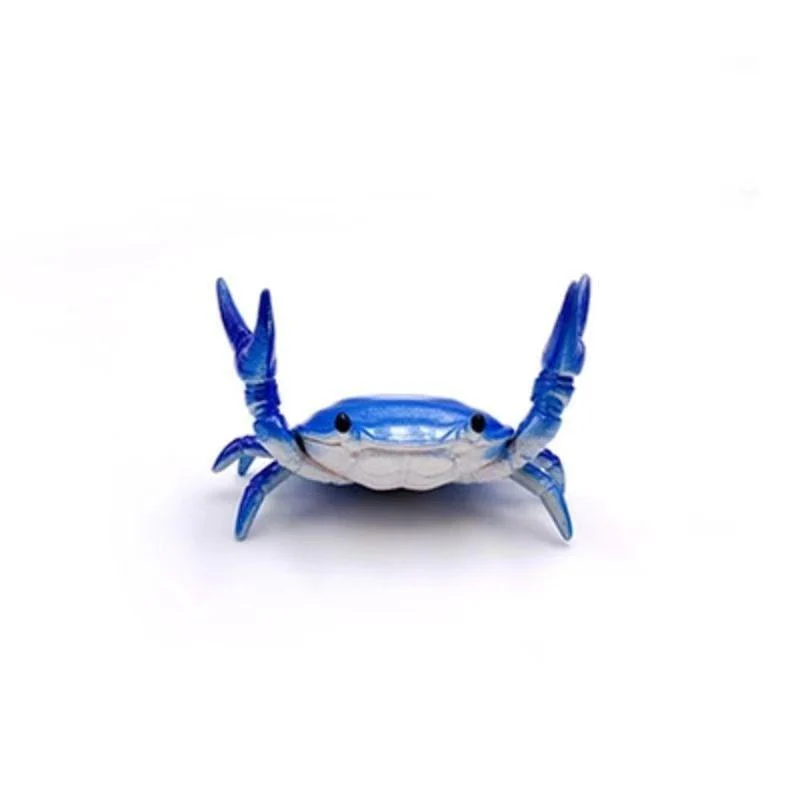 Miniatuur 10