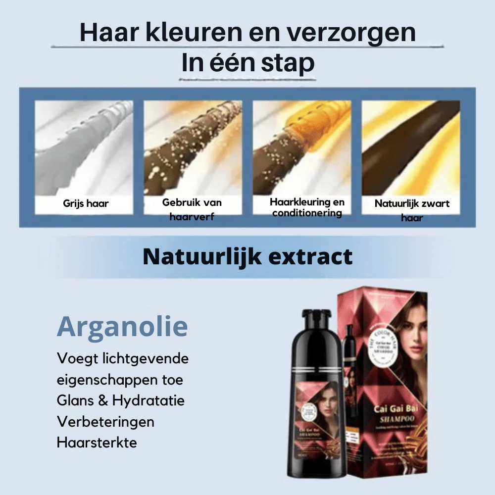 Miniatuur 4