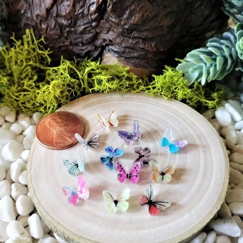 Miniatuur 17