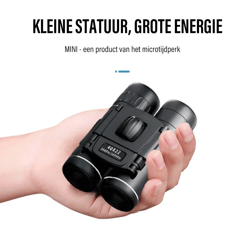 Miniatuur 8
