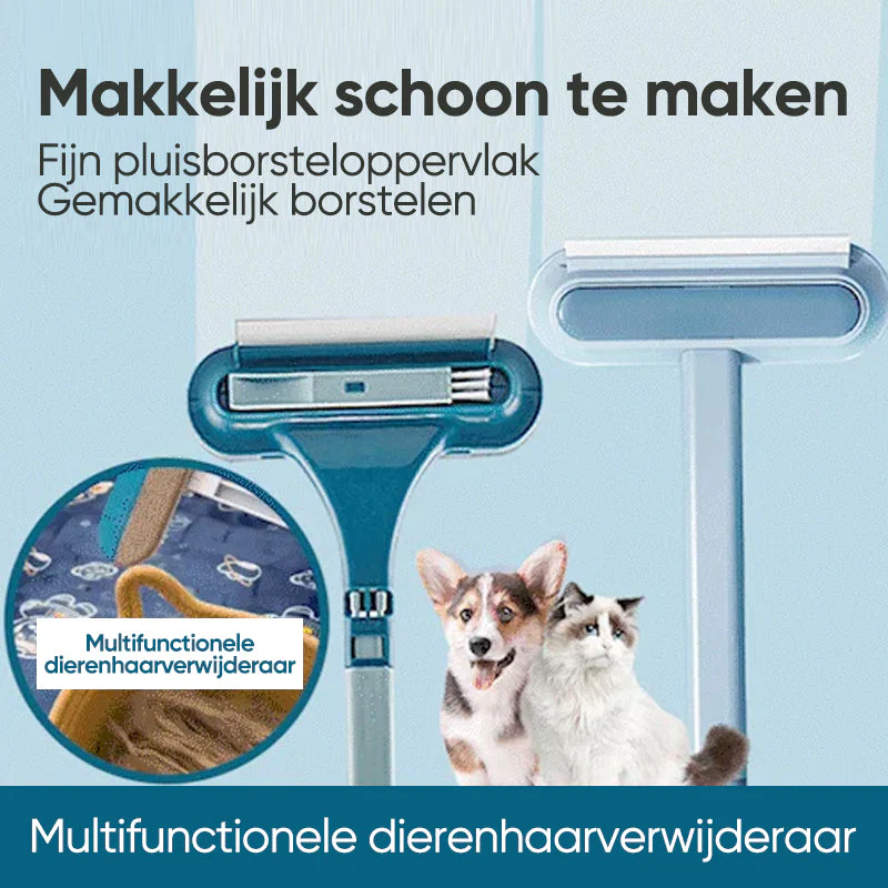 Miniatuur 7