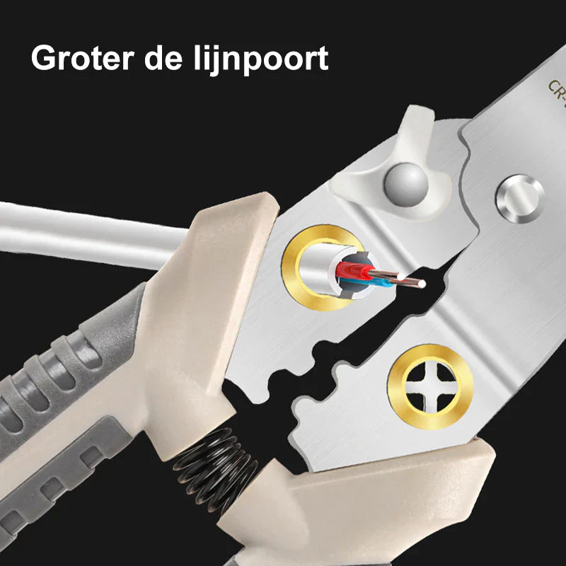 Miniatuur 11