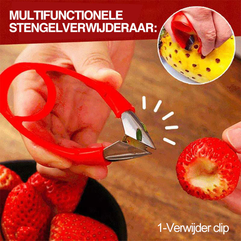 Miniatuur 4