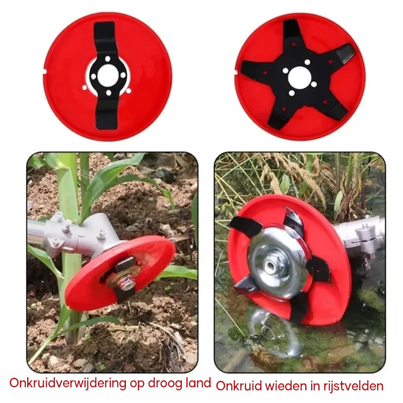 Miniatuur 8