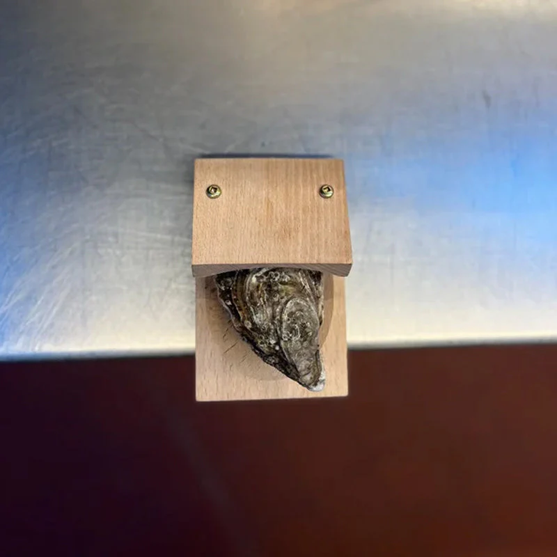 Miniatuur 9