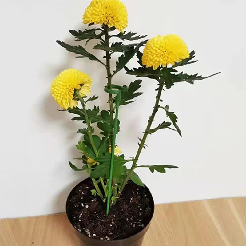 Miniatuur 7