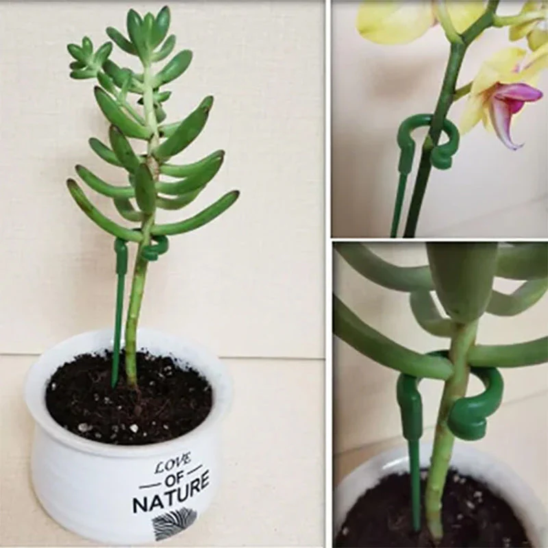 Miniatuur 8