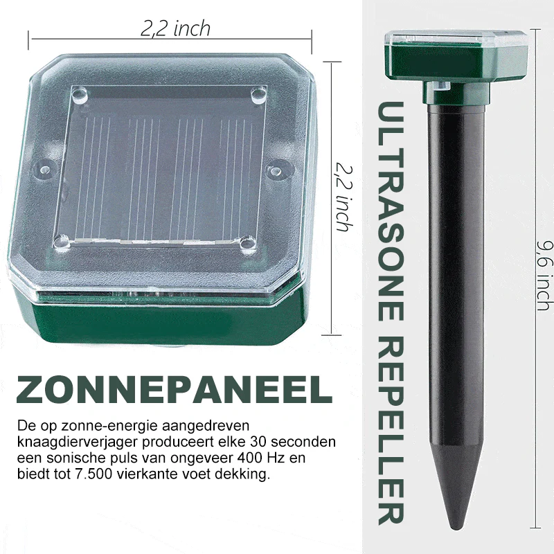 Miniatuur 6