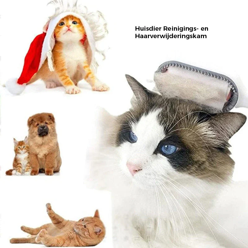 Miniatuur 8