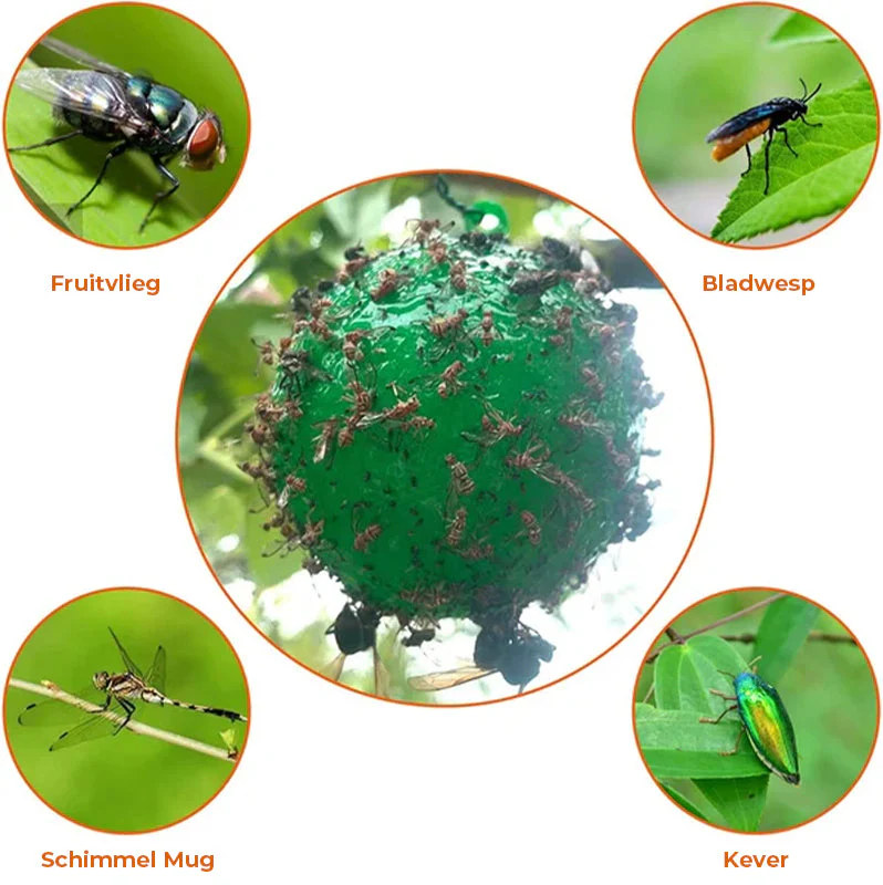 Miniatuur 18
