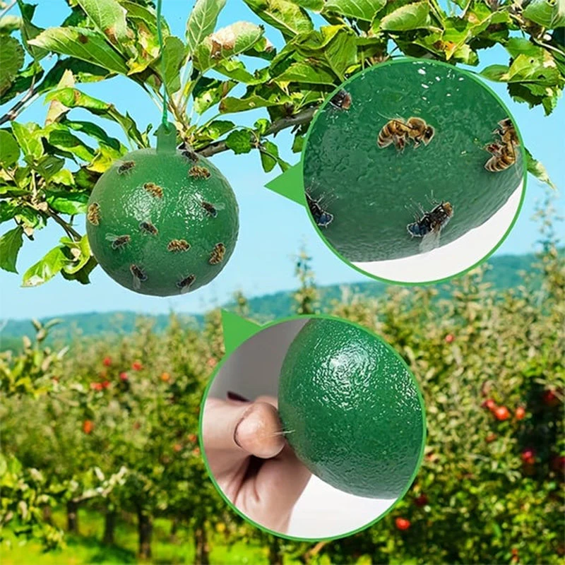 Miniatuur 3