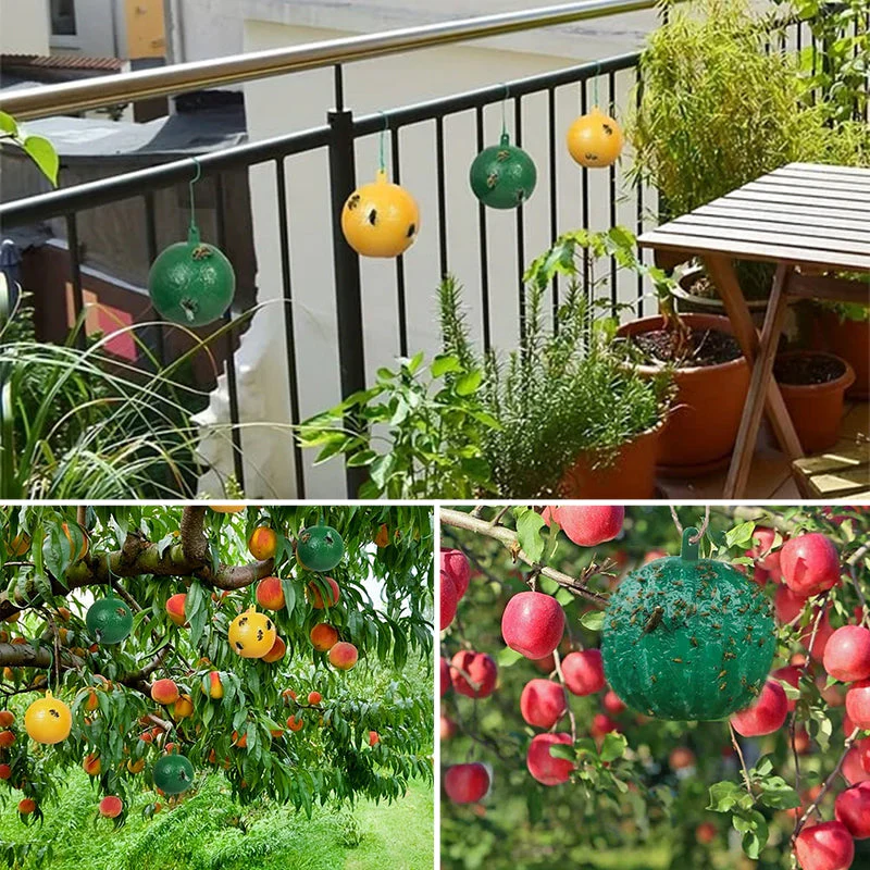 Miniatuur 6