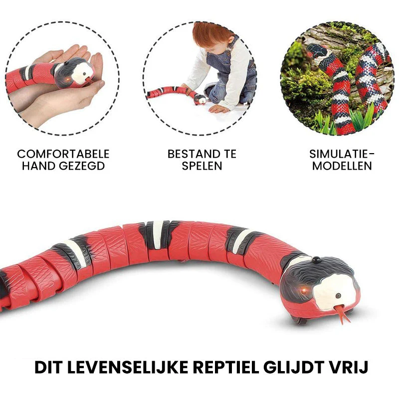 Miniatuur 10