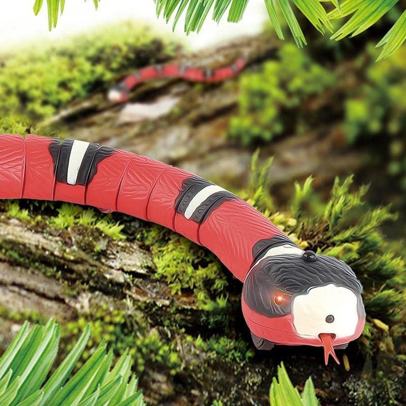 Miniatuur 3
