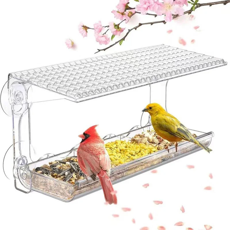 Miniatuur 5