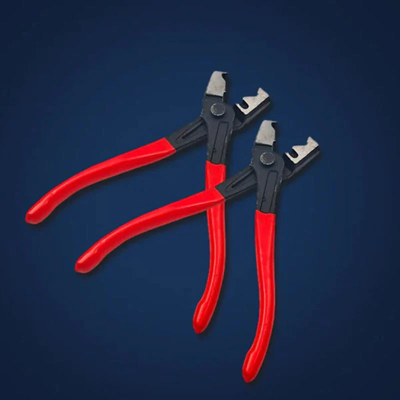 Miniatuur 6