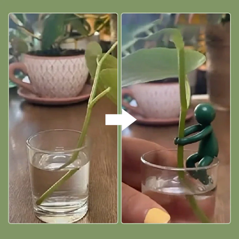 Miniatuur 5