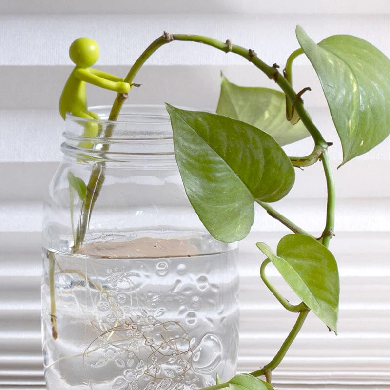 Miniatuur 7