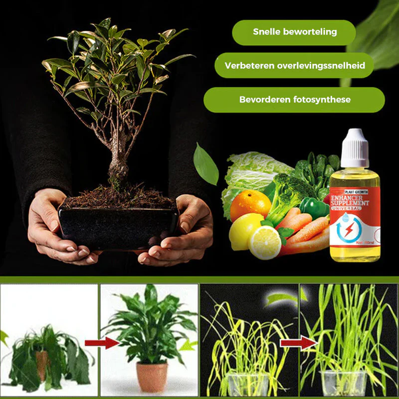 Miniatuur 4