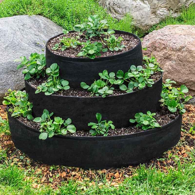Miniatuur 5