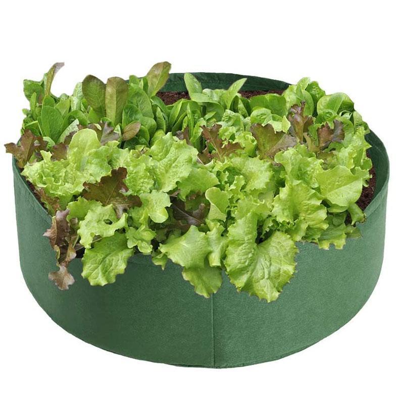 Miniatuur 7