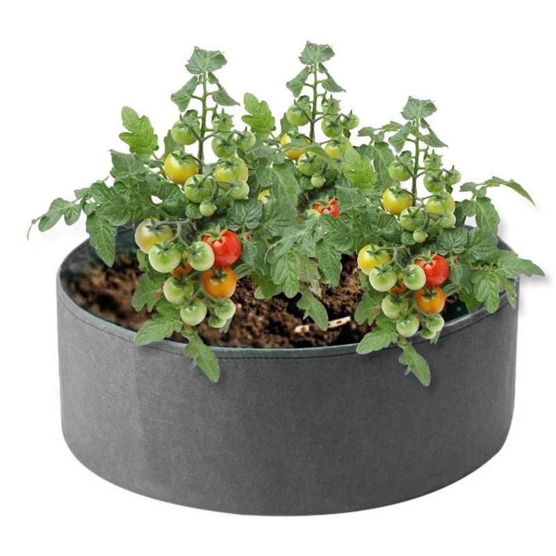Miniatuur 8