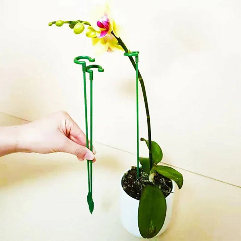 Miniatuur 3