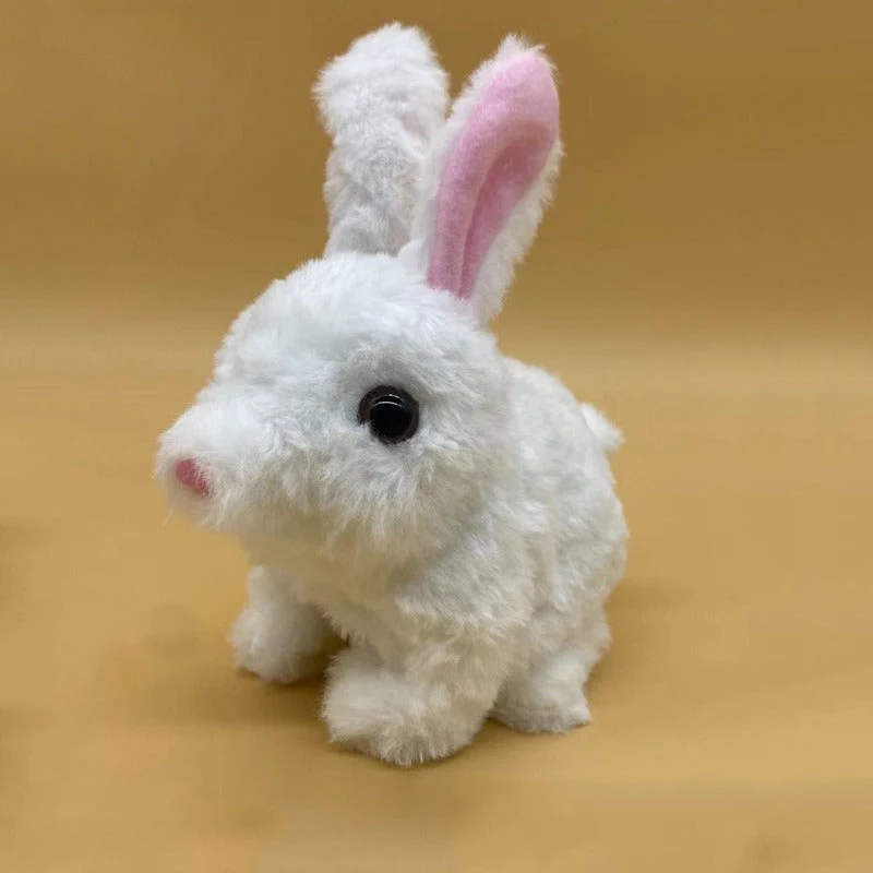Miniatuur 3