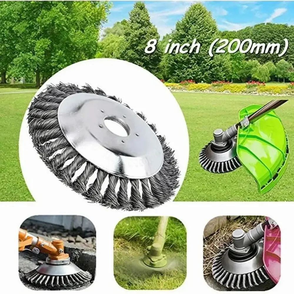Miniatuur 6