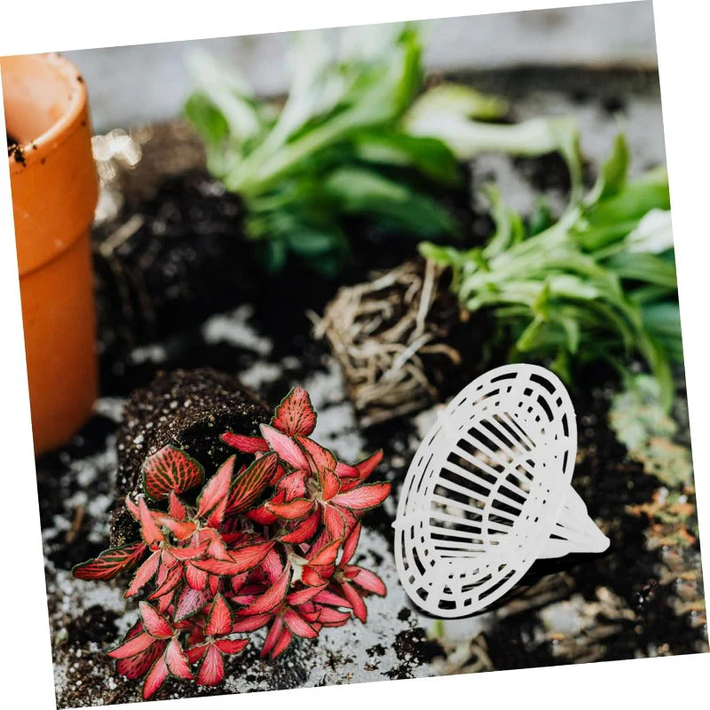 Miniatuur 4