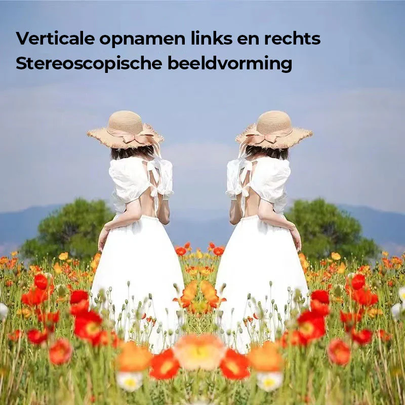 Miniatuur 9