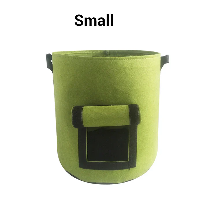 Miniatuur 24