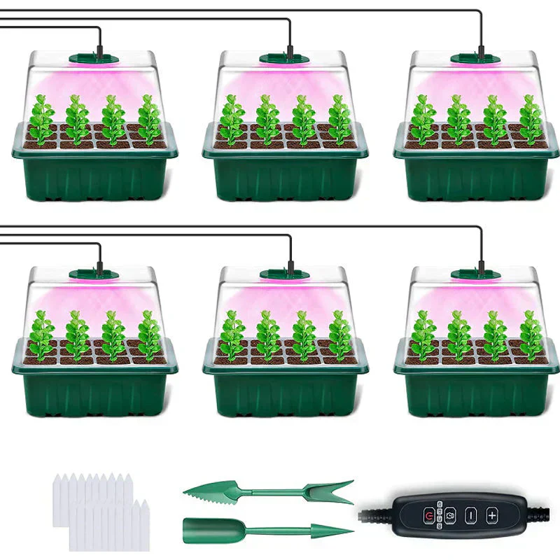 Miniatuur 11