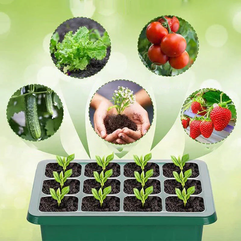 Miniatuur 5