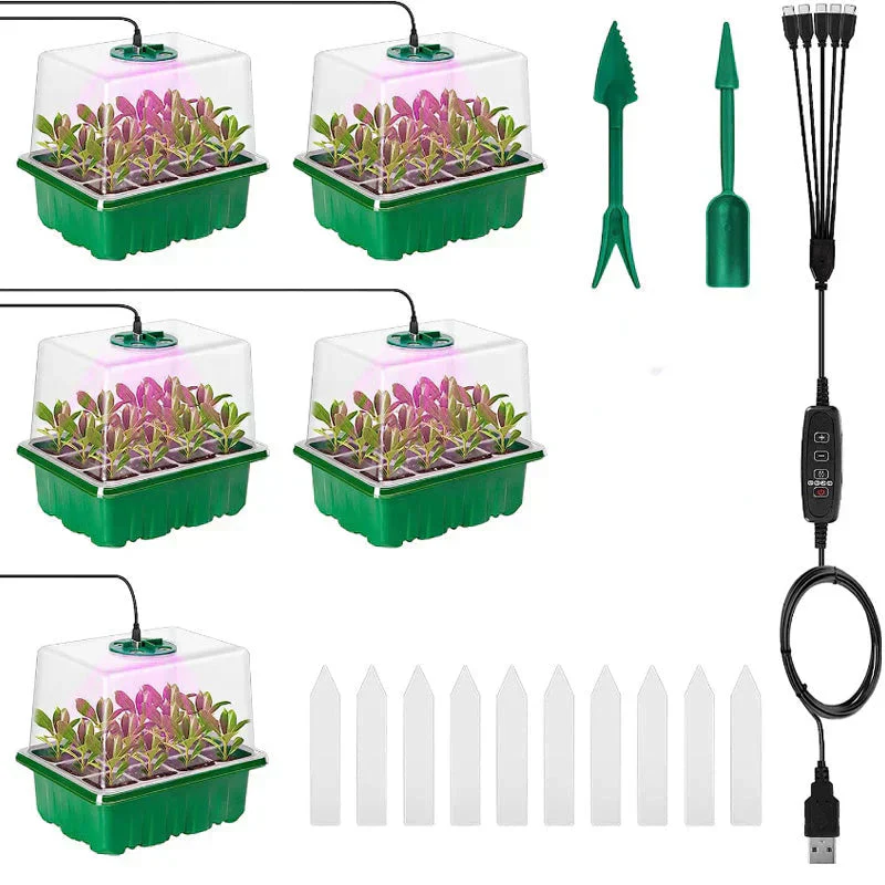 Miniatuur 8
