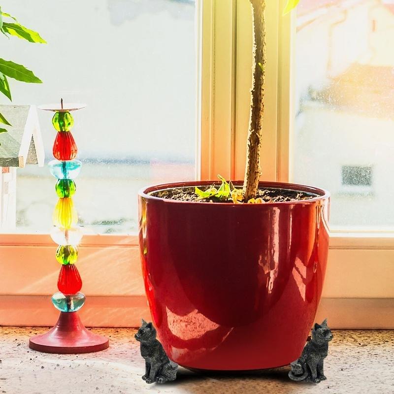 Miniatuur 3