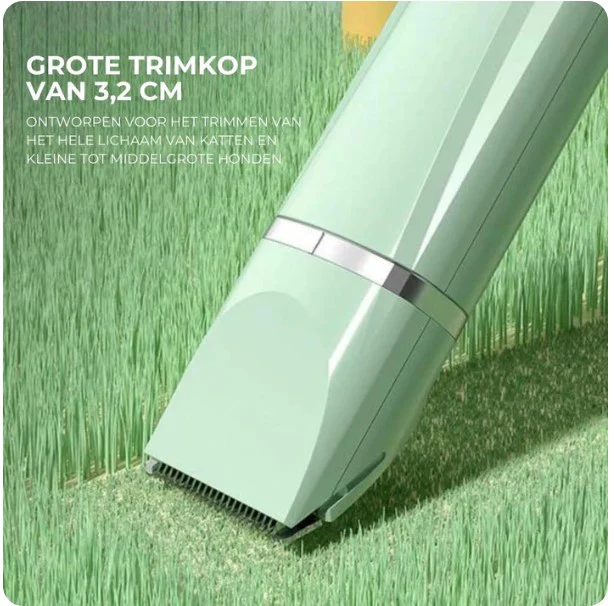 Miniatuur 5