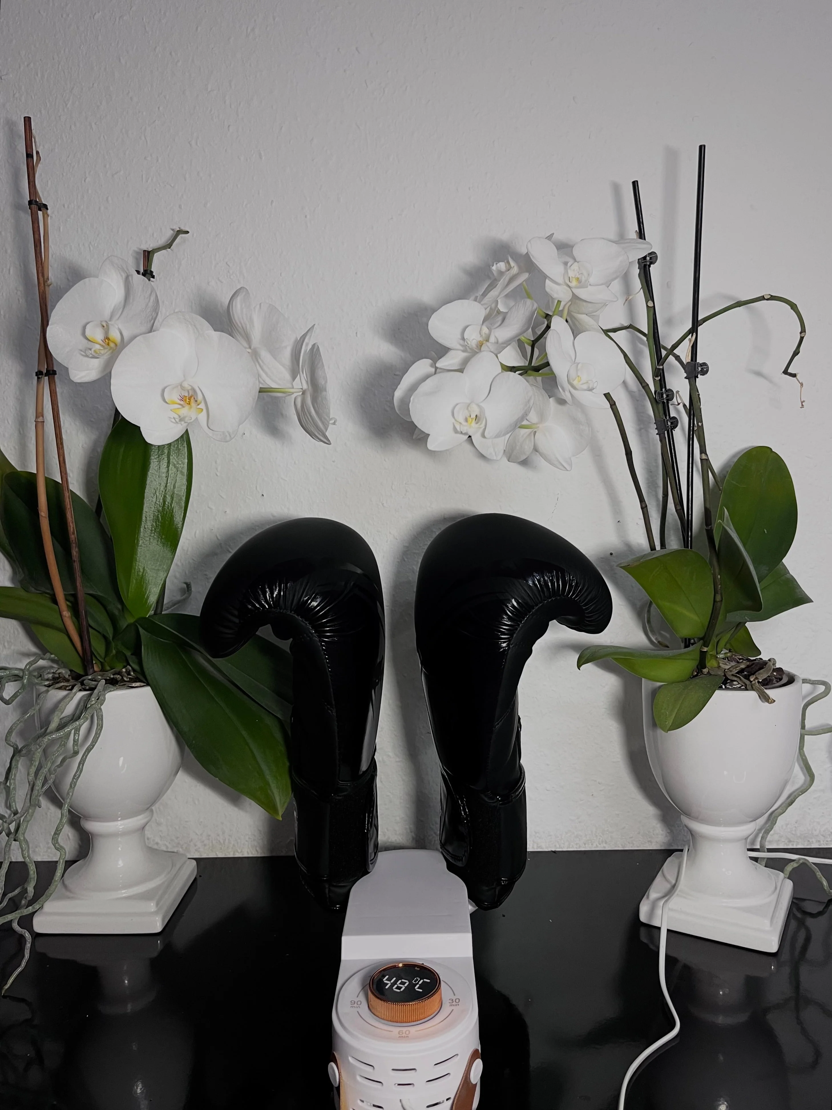 Miniatuur 6