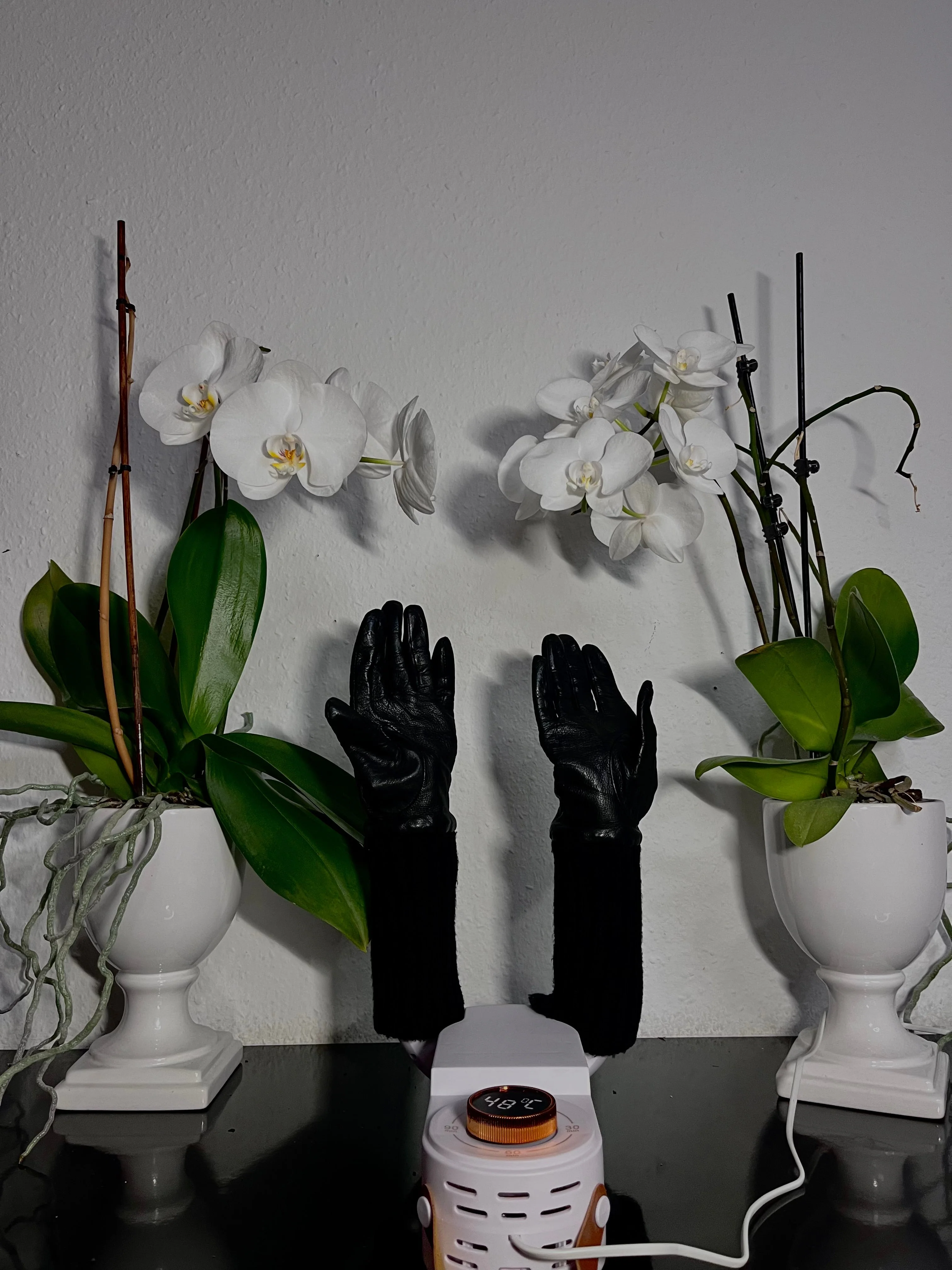 Miniatuur 8