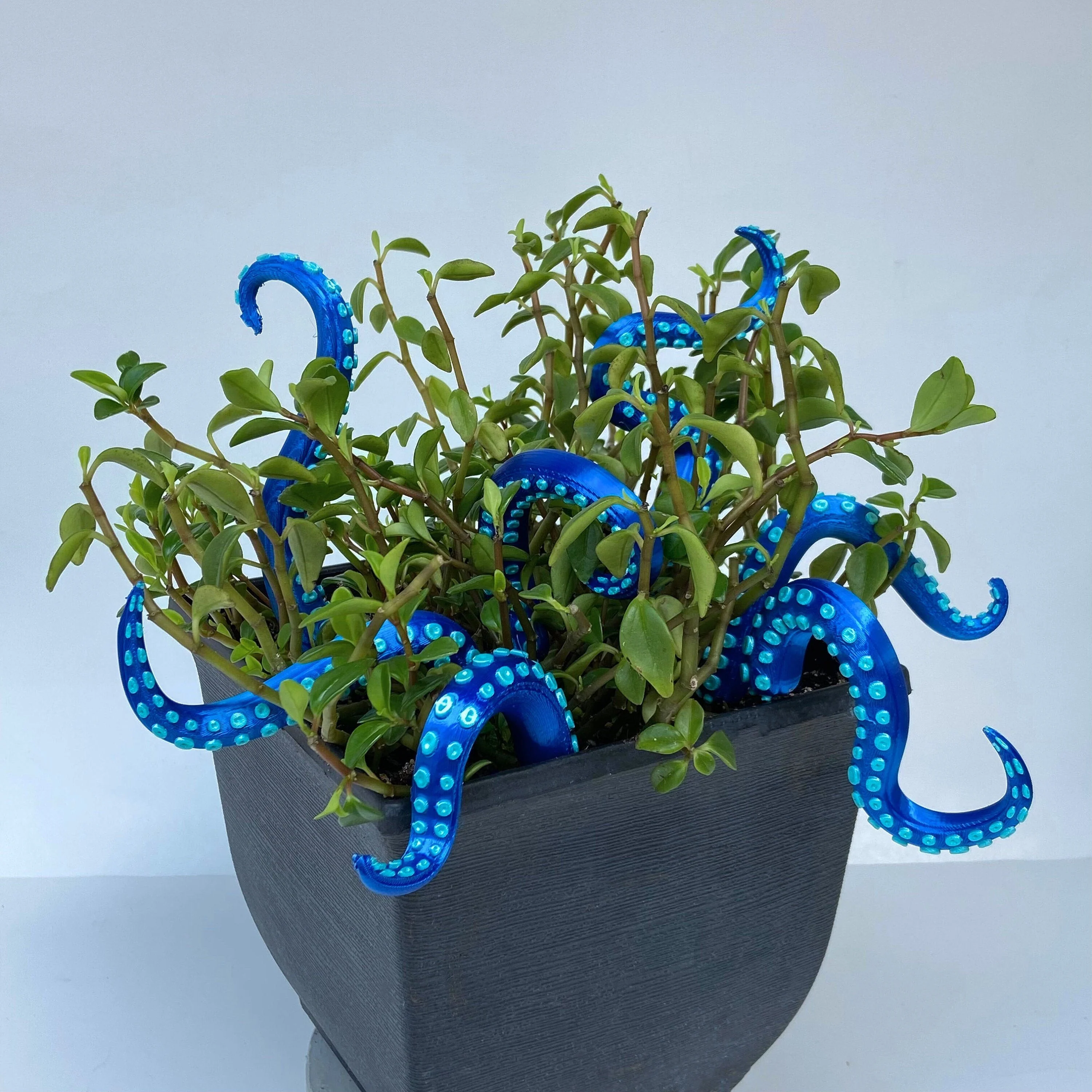 Miniatuur 10