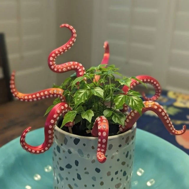 Miniatuur 3