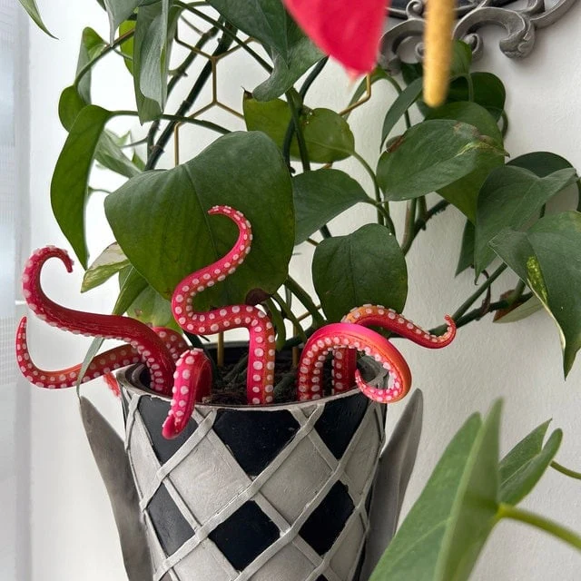 Miniatuur 4