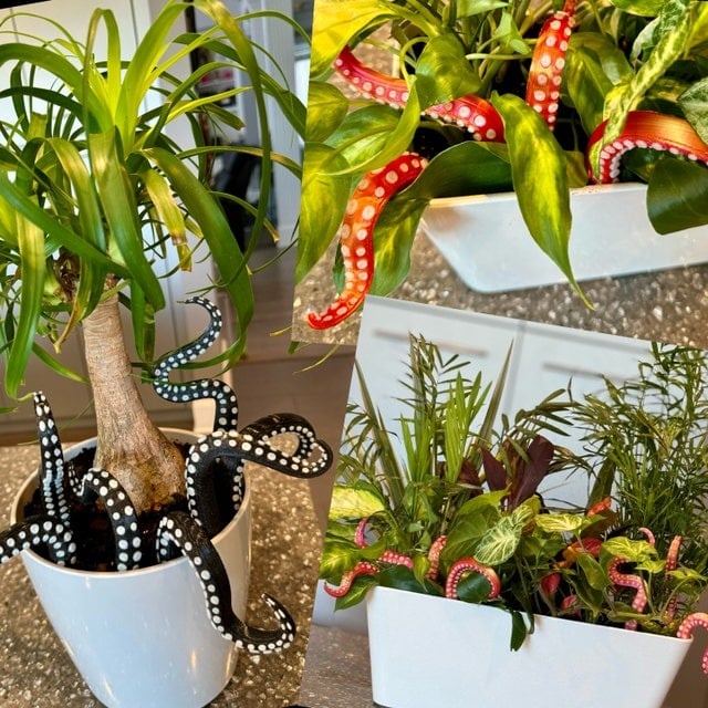 Miniatuur 5