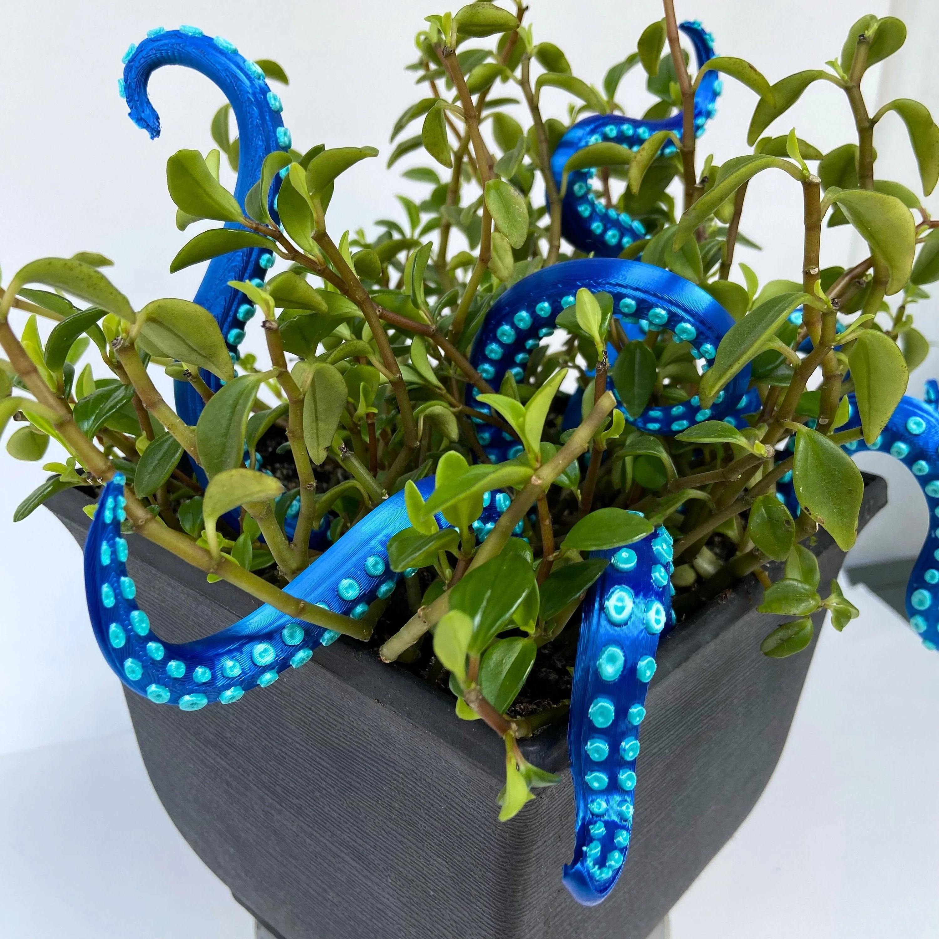 Miniatuur 7