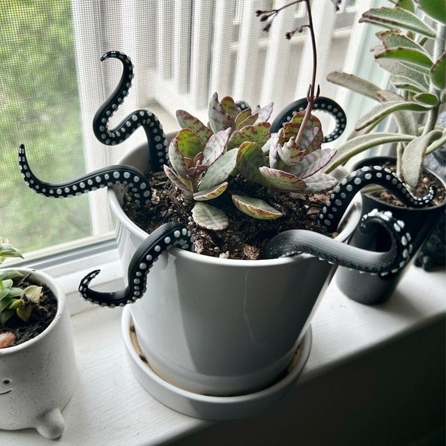 Miniatuur 8