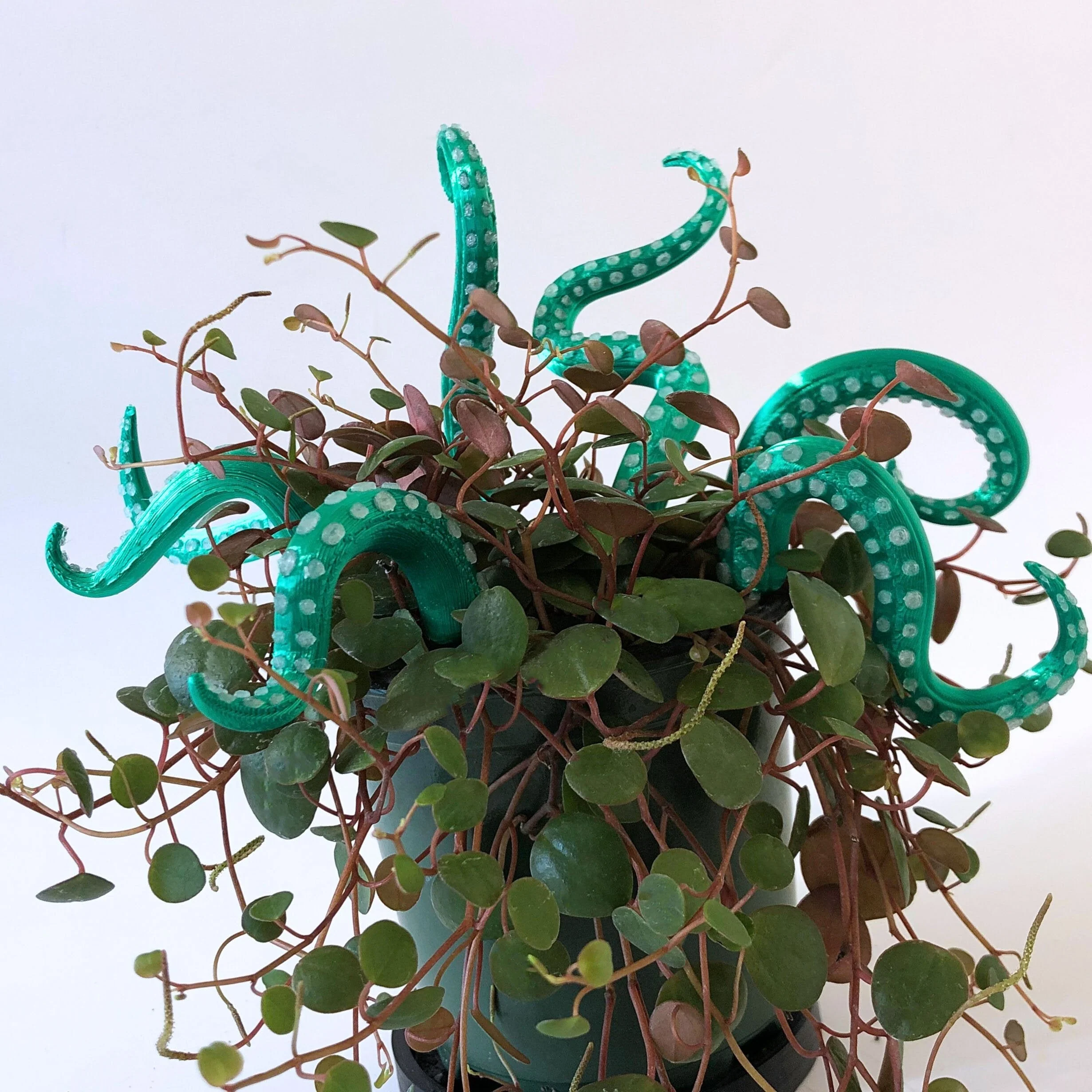 Miniatuur 9