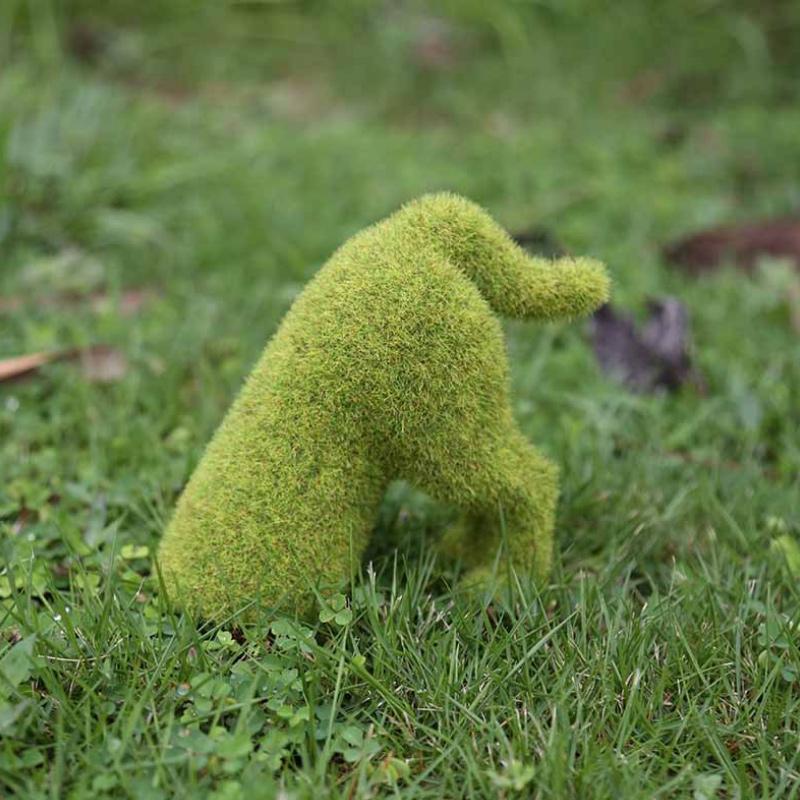 Miniatuur 5